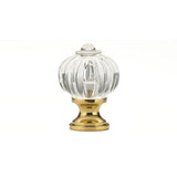 Eclectic Acrylic and Metal Knob - 4035