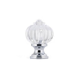 Eclectic Acrylic and Metal Knob - 4035