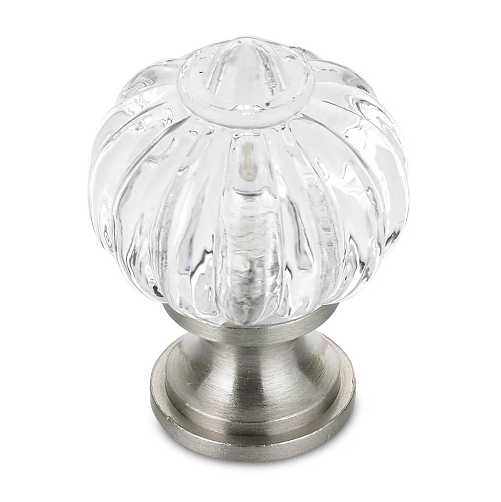 Richelieu America - Eclectic Acrylic and Metal Knob - 4035 - Clear,Brushed Nickel