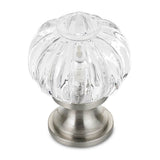 Richelieu America - Eclectic Acrylic and Metal Knob - 4035 - Clear,Brushed Nickel