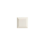 Eclectic Plastic Knob - 6635