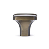 Transitional Metal Knob - 770