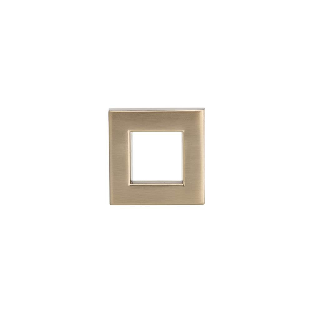 Transitional Metal Knob - 8033