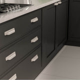 Transitional Metal Pull - 8716