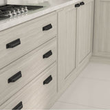 Transitional Metal Pull - 8716