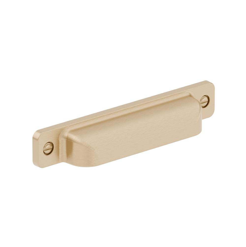 Richelieu America - Transitional Metal Pull - 8716 - Champagne Bronze