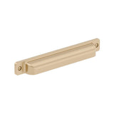 Richelieu America - Transitional Metal Pull - 8716 - Champagne Bronze