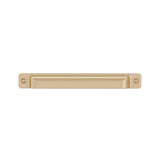 Transitional Metal Pull - 8716