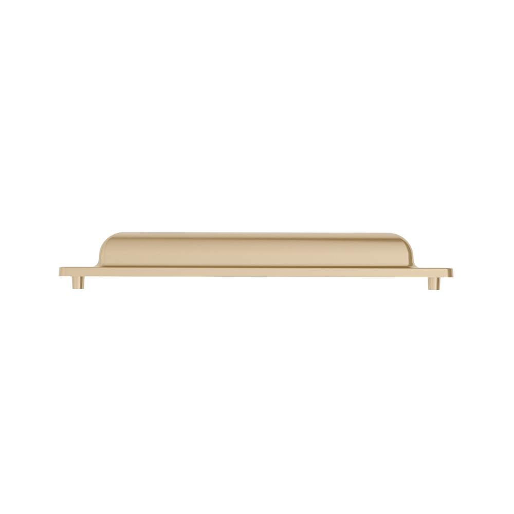 Transitional Metal Pull - 8716