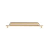 Transitional Metal Pull - 8716