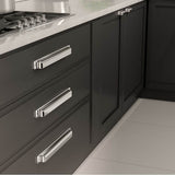 Transitional Metal Pull - 8716
