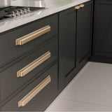 Transitional Metal Pull - 8716