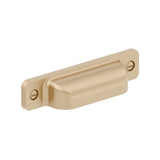 Richelieu America - Transitional Metal Pull - 8716 - Champagne Bronze