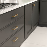 Transitional Metal Pull - 8788