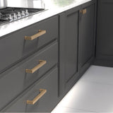 Transitional Metal Pull - 8788