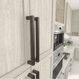 Transitional Metal Pull - 8788