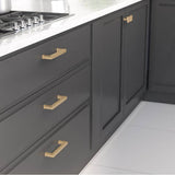 Transitional Metal Pull - 8795