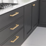 Transitional Metal Pull - 8795