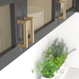 Transitional Metal Pull - 8795