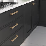 Transitional Metal Pull - 8822