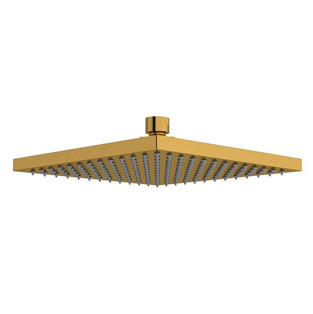 Riobel - 8'' Rain Showerhead - Brushed Gold