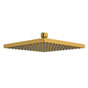 Riobel - 8'' Rain Showerhead - Brushed Gold