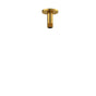 Riobel - 3'' Ceiling Mount Shower Arm - Brushed Gold
