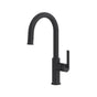 Riobel - AuthenticaE Pull-Down Kitchen Faucet With Single Spray - Black