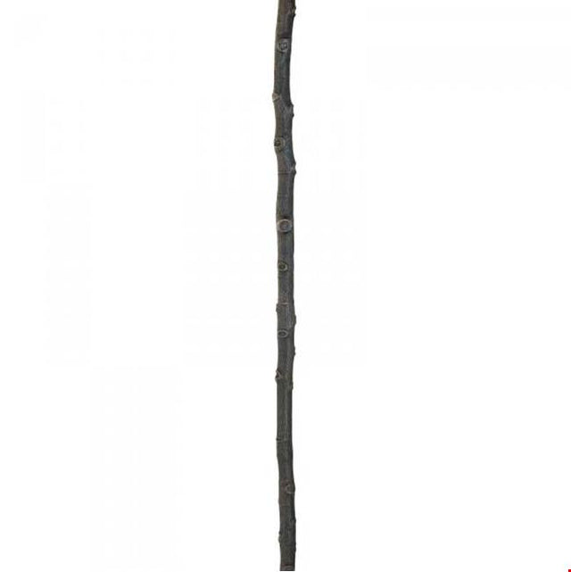 Rocky Mountain Hardware - Home Accessory Stair Baluster, Branch