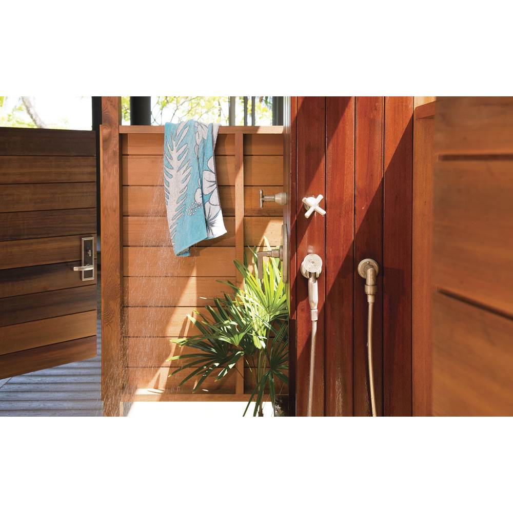 Plumbing Wall Hand Shower Trim only with VC trim