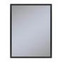 Robern - Profiles Framed Cabinet, 24'' x 30'' x 4'', Matte Black, Electrical Outlet, USB Charging Ports, Left Hinge - Matte Black
