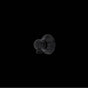 Rohl - Handshower Outlet - Matte Black