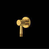 Rohl - AmahleE Trim For Volume Control And Diverter - Unlacquered Brass