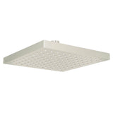 Rohl - 8'' Rain Showerhead - Polished Nickel