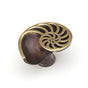Schaub And Company - Nature,Sea Shell Knob,Right Hand,Dark Bronze, 1-1/2'' Dia, - Polished Brass