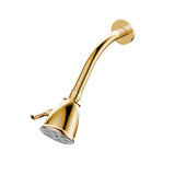 Santec - Standard 6 Port Showerhead with Arm and Flange - Radiant Polished Gold PVD