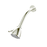 Santec - Standard 6 Port Showerhead with Arm and Flange - Polished Nickel