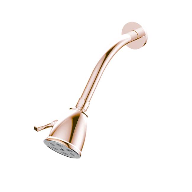 Santec - Standard 6 Port Showerhead with Arm and Flange - Polished Metallic Rose PVD