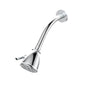 Santec - Standard 6 Port Showerhead with Arm and Flange - Satin Gold