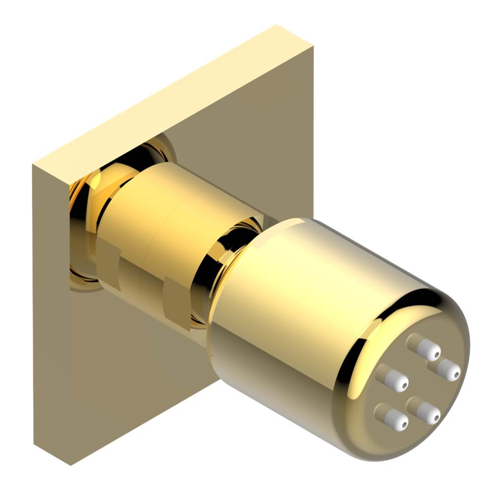 THG - Body spray 1/2'' with Easyclean system - Gold Color PVD