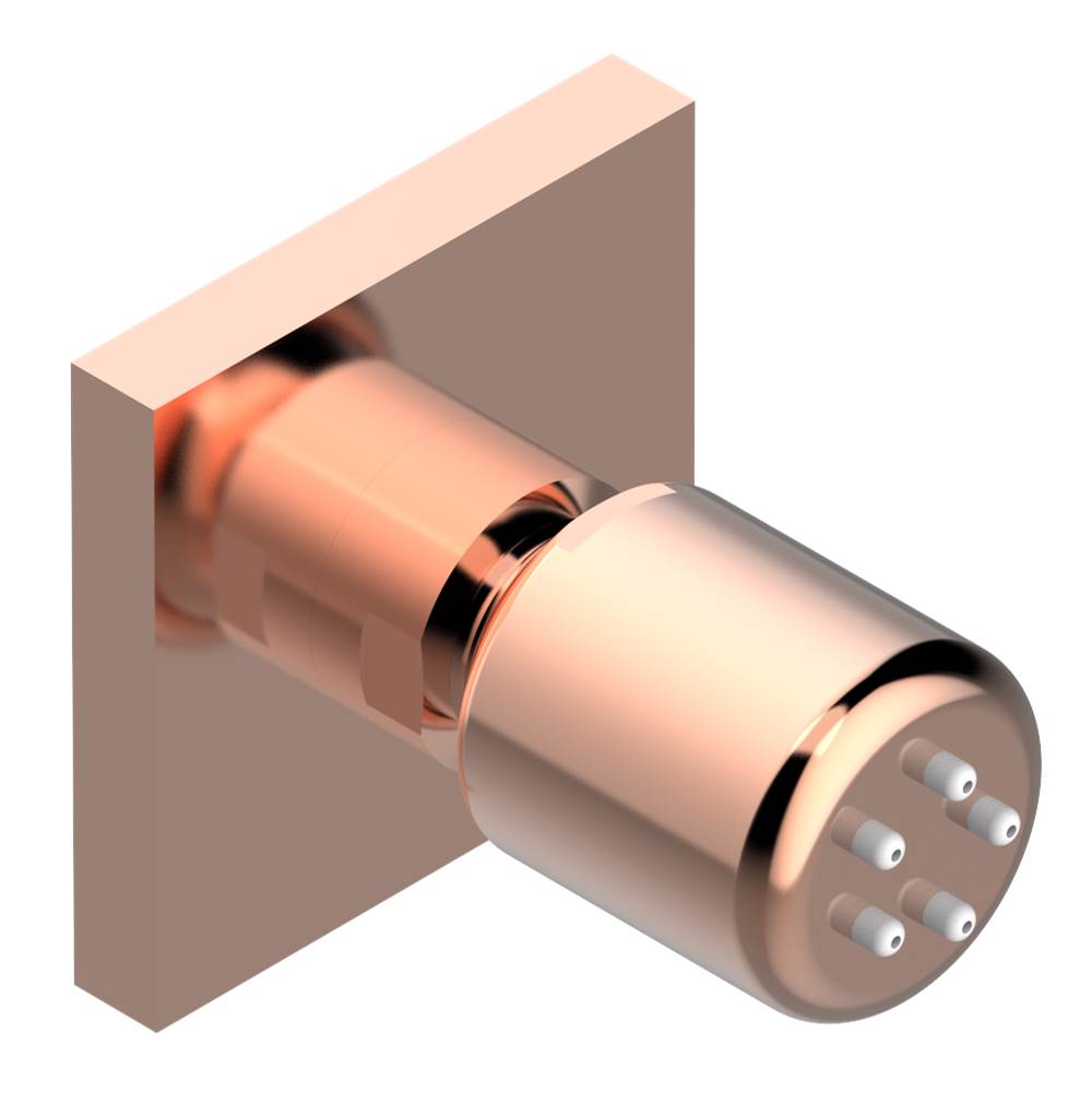 THG - Body spray 1/2'' with Easyclean system - Matt Nickel Color PVD