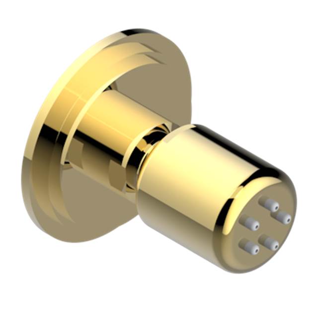 THG - Body Spray 1/2'' With Easyclean System - Gold Color PVD