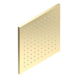 THG - Shower head 8'' x 8'' , Easyclean system - Gold Polished