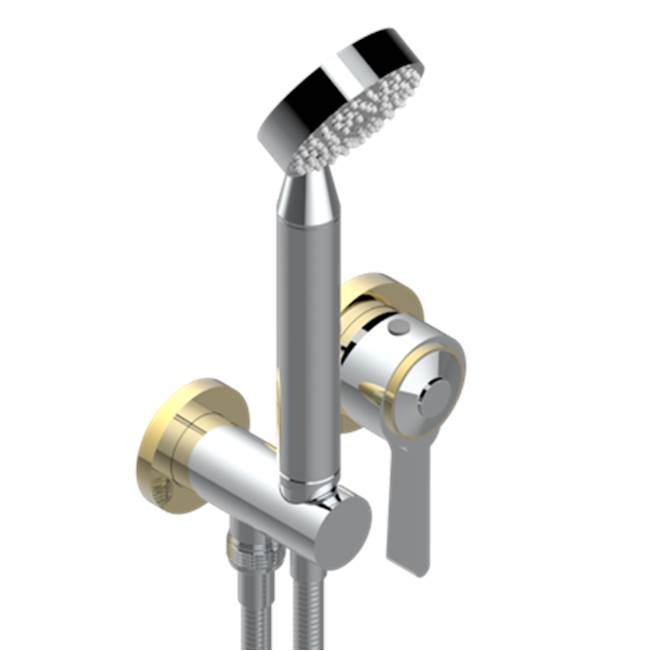 THG - Trim Only For Wall Mixer With Complete Handshower On Hook - Chrome Polished Gold Polished