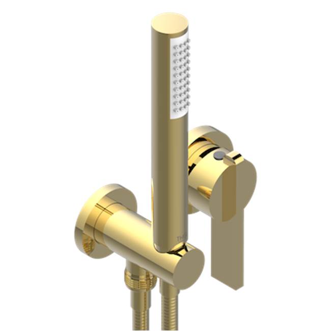 THG - Trim Only For Wall Mixer With Complete Handshower On Hook - Gold Polished