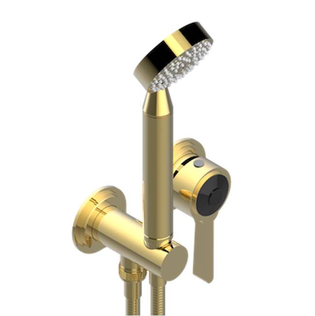 THG - Trim Only For Wall Mixer With Complete Handshower On Hook - Gold Polished