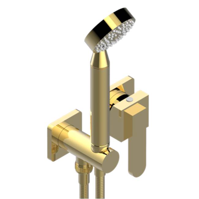 THG - Trim Only For Wall Mixer With Complete Handshower On Hook - Gold Polished