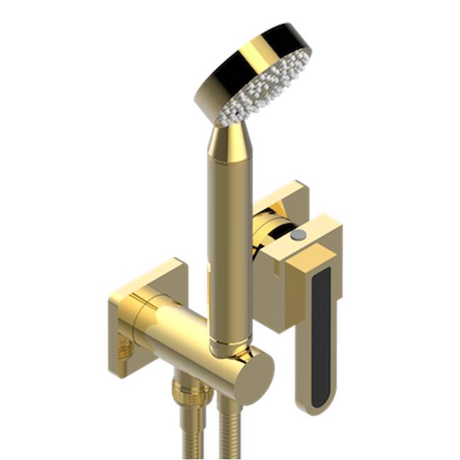 THG - Trim Only For Wall Mixer With Complete Handshower On Hook - Gold Polished