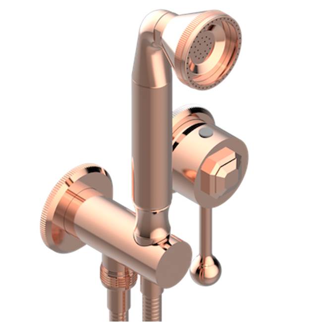 THG - Trim Only For Wall Mixer With Complete Handshower On Hook - Blush PVD
