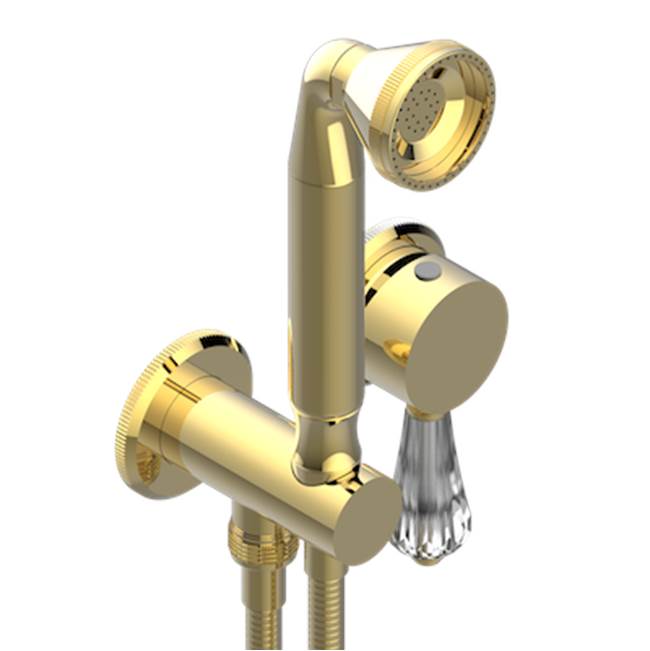 THG - Trim Only For Wall Mixer With Complete Handshower On Hook - Gold Polished